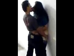 Perro de pan alemán videos travestis mexicanos